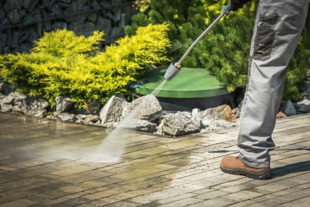 Best Pre-Holiday Cleaning  in Priceville, AL