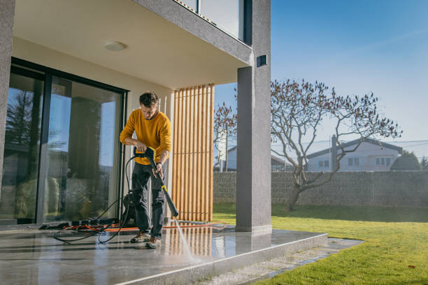 Best Solar Panel Cleaning  in Priceville, AL